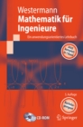 Mathematik fur Ingenieure : Ein anwendungsorientiertes Lehrbuch - eBook