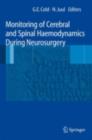 Monitoring of Cerebral and Spinal Haemodynamics during Neurosurgery - eBook