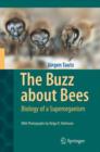 The Buzz about Bees : Biology of a Superorganism - Book