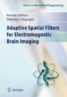 Adaptive Spatial Filters for Electromagnetic Brain Imaging - eBook
