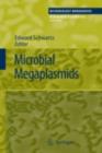 Microbial Megaplasmids - eBook