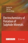 Electrochemistry of Flotation of Sulphide Minerals - eBook