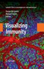 Visualizing Immunity - eBook
