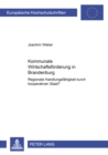 Kommunale Wirtschaftsfoerderung in Brandenburg : Regionale Handlungsfaehigkeit Durch Kooperativen Staat? - Book