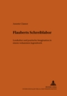 Flauberts Schreiblabor : Lesekultur Und Poetische Imagination In Einem Verkannten Jugendwerk - Book