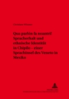 «Qua Parlon Fa Noantri!» Spracherhalt Und Ethnische Identitaet in Chipilo - Einer Sprachinsel Des Veneto in Mexiko - Book