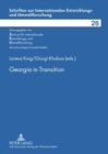 Georgia in Transition : Experiences and Perspectives - Book