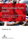 Making Software Teams Effective : How Agile Practices Lead to Project Success Through Teamwork Mechanisms - Book