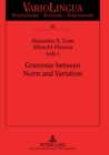 Grammar between Norm and Variation - Book
