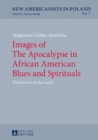 Images of The Apocalypse in African American Blues and Spirituals : Destruction in this Land - Book