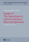 Images of The Apocalypse in African American Blues and Spirituals : Destruction in this Land - eBook
