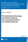 Die Betriebsverfassungsrechtliche Stellung Der Leiharbeitnehmer Im Entleiherbetrieb - Book