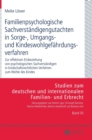 Familienpsychologische Sachverstaendigengutachten in Sorge-, Umgangs- und Kindeswohlgefaehrdungsverfahren : Zur effektiven Einbeziehung von psychologischen Sachverstaendigen in kindschaftsrechtlichen - Book