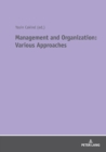 Management and Organization: Various Approaches - Book