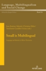 Small is Multilingual : Language and Identity in Micro-Territories - Book