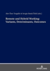Remote and Hybrid Working: Variants, Determinants, Outcomes - eBook