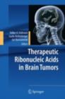 Therapeutic Ribonucleic Acids in Brain Tumors - eBook