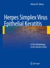 Herpes Simplex Virus Epithelial Keratitis : In Vivo Morphology in the Human Cornea - Book