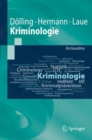 Kriminologie : Ein Grundriss - eBook