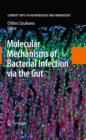 Molecular Mechanisms of Bacterial Infection via the Gut - eBook