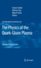 The Physics of the Quark-Gluon Plasma : Introductory Lectures - eBook