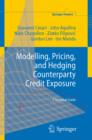 Modelling, Pricing, and Hedging Counterparty Credit Exposure : A Technical Guide - eBook