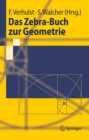 Das Zebra-Buch zur Geometrie - eBook