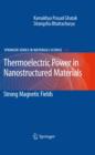 Thermoelectric Power in Nanostructured Materials : Strong Magnetic Fields - eBook