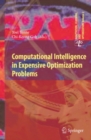 Computational Intelligence in Expensive Optimization Problems - eBook