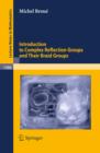 Introduction to Complex Reflection Groups and Their Braid Groups - eBook
