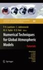 Numerical Techniques for Global Atmospheric Models - eBook