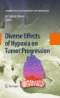 Diverse Effects of Hypoxia on Tumor Progression - eBook