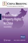 Intellectual Property Rights in China - eBook