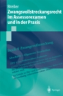 Zwangsvollstreckungsrecht im Assessorexamen und in der Praxis - eBook