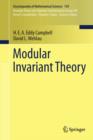 Modular Invariant Theory - eBook