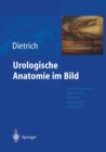 Urologische Anatomie im Bild : von der kunstlerisch-anatomischen Abbildung zu den ersten Operationen - eBook