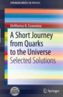 A Short Journey from Quarks to the Universe - eBook
