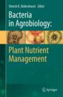 Bacteria in Agrobiology: Plant Nutrient Management - eBook
