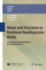 Waves and Structures in Nonlinear Nondispersive Media : General Theory and Applications to Nonlinear Acoustics - eBook