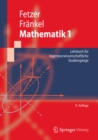 Mathematik 1 : Lehrbuch fur ingenieurwissenschaftliche Studiengange - eBook