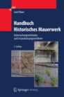 Handbuch Historisches Mauerwerk : Untersuchungsmethoden und Instandsetzungsverfahren - eBook
