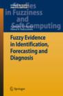 Fuzzy Evidence in Identification, Forecasting and Diagnosis - eBook