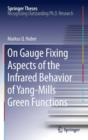 On Gauge Fixing Aspects of the Infrared Behavior of Yang-Mills Green Functions - eBook