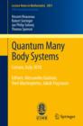 Quantum Many Body Systems : Cetraro, Italy 2010, Editors:  Alessandro Giuliani, Vieri Mastropietro, Jakob Yngvason - eBook