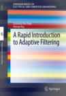 A Rapid Introduction to Adaptive Filtering - eBook