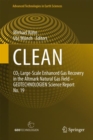 CLEAN : CO2 Large-Scale Enhanced Gas Recovery in the Altmark Natural Gas Field - GEOTECHNOLOGIEN Science Report No. 19 - eBook