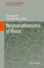 Neuromathematics of Vision - eBook