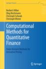 Computational Methods for Quantitative Finance : Finite Element Methods for Derivative Pricing - eBook