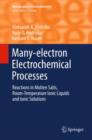 Many-electron Electrochemical Processes : Reactions in Molten Salts, Room-Temperature Ionic Liquids and Ionic Solutions - eBook