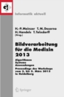 Bildverarbeitung fur die Medizin 2013 : Algorithmen - Systeme - Anwendungen. Proceedings des Workshops vom 3. bis 5. Marz 2013 in Heidelberg - eBook